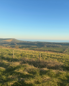 Dorset countryside that inspired Blackwater Stables